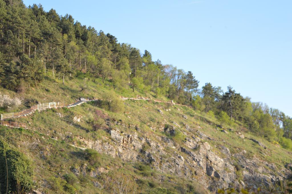 Vila Sara Ohrid Exterior foto